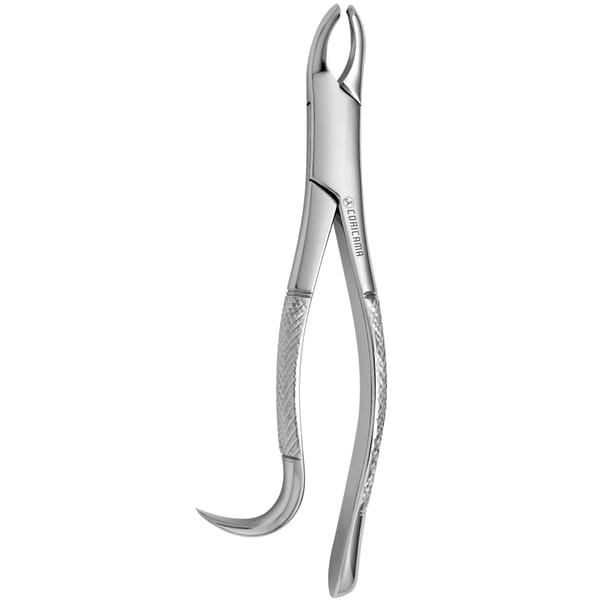 TOOTH FORCEPS AMERICAN N. 24 632320