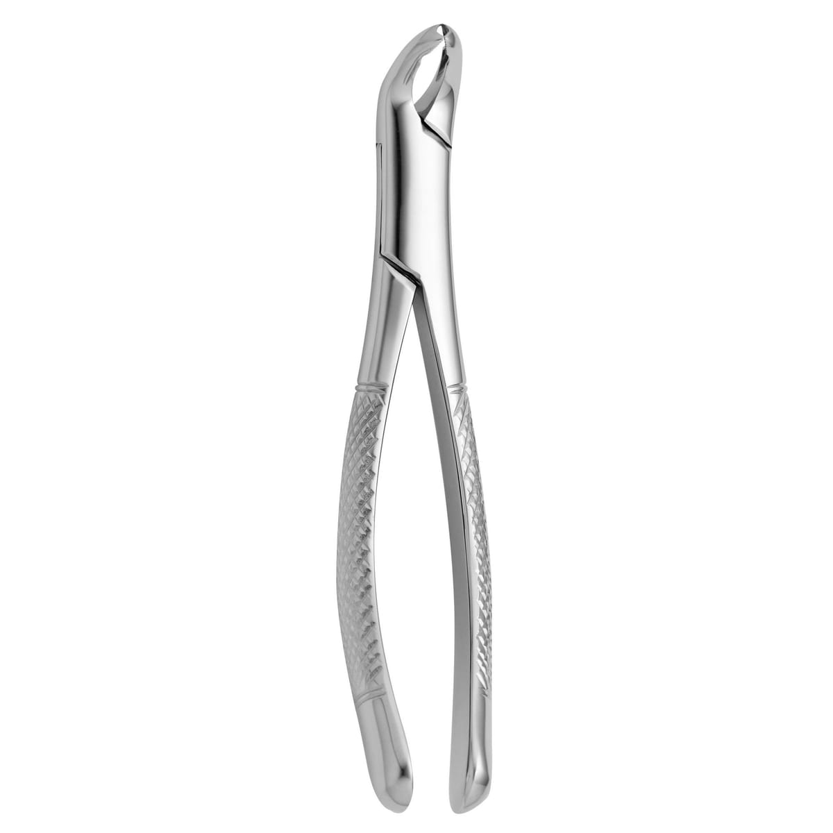 TOOTH FORCEPS AMERICAN N.151-AS 632590 – Coricama srl, Extraktionszangen Unterkiefer