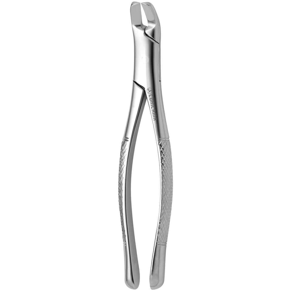 TOOTH FORCEPS AMERICAN N. 6 632760 – Coricama srl, Extraktionszangen Unterkiefer