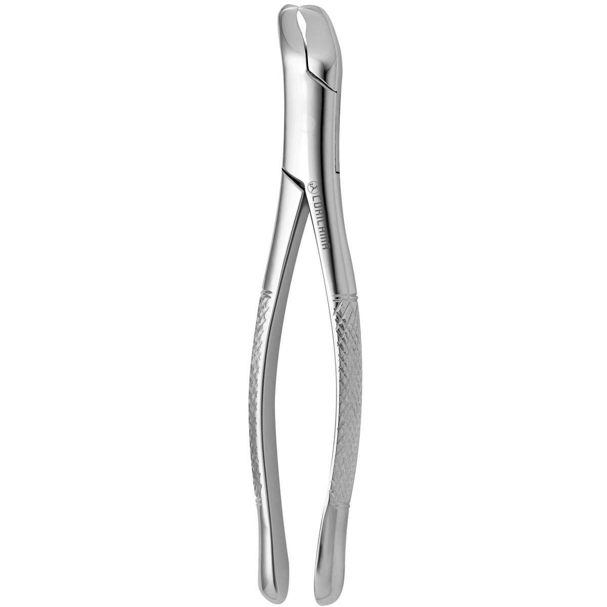 TOOTH FORCEPS AMERICAN N. 5 632780 – Coricama srl, Extraktionszangen