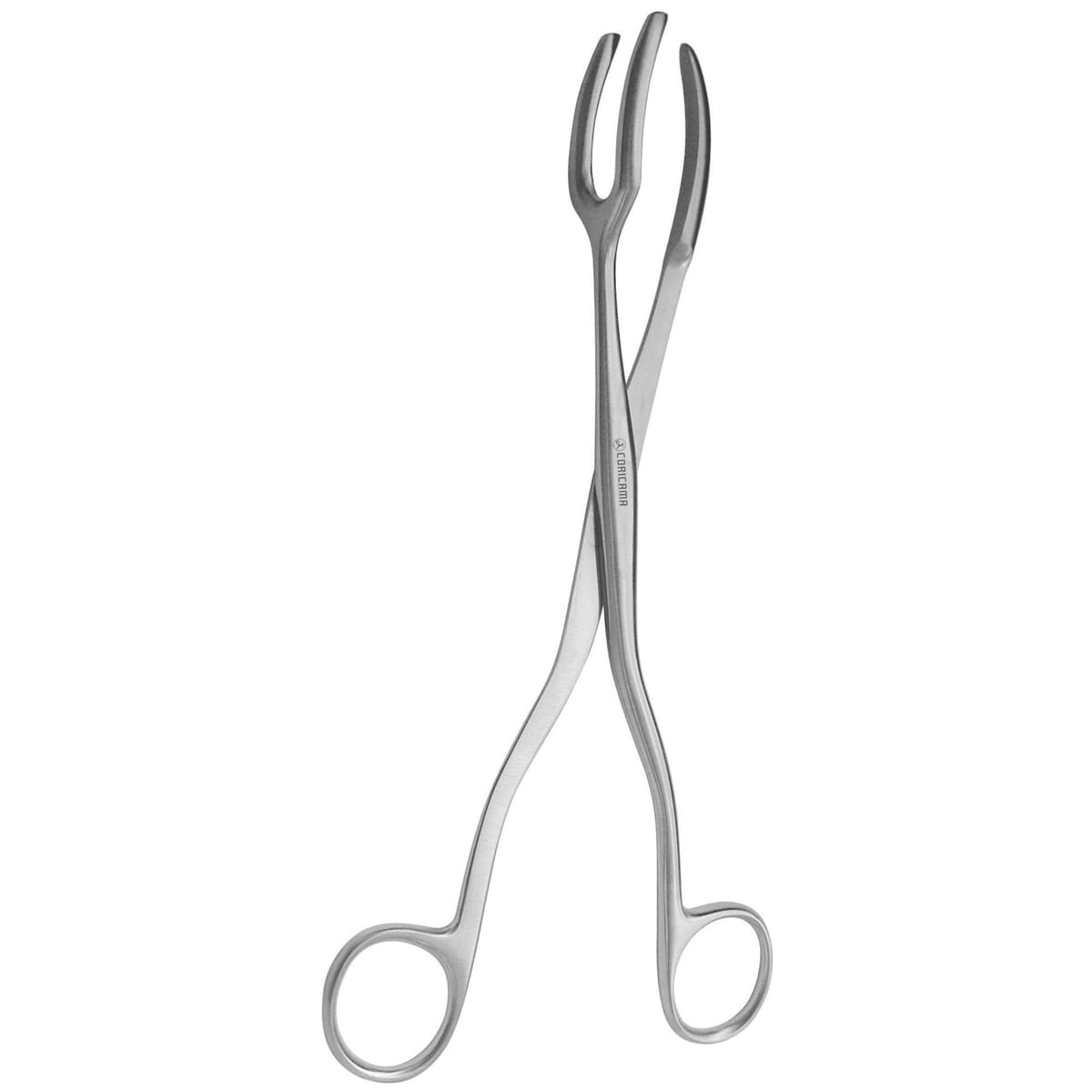 FORCEP FOR SEIZING INSTRUMENT mm300 931250 – Coricama srl, Chirurgische Pinzetten