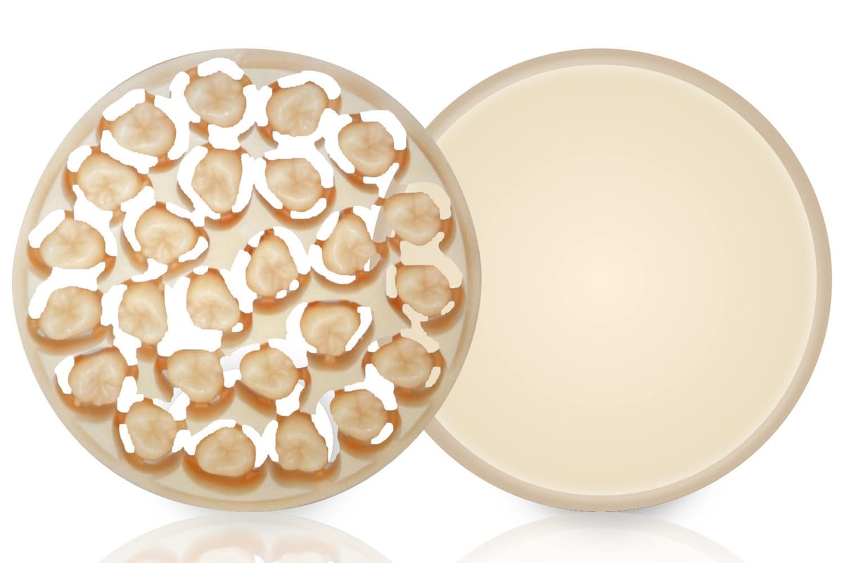 AMBARINO High-Class – creamed GmbH & Co. Produktions- und Handels KG, Keramikmassen