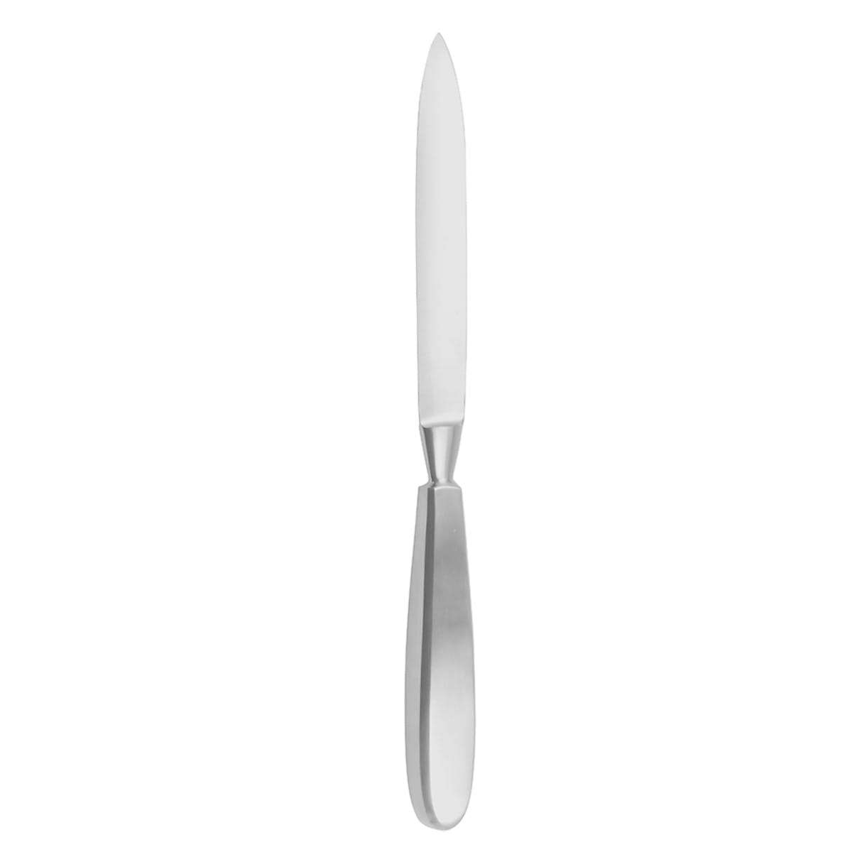 Amputationsmesser, 32 cm Blattlänge 19 cm 06.420.19 – Dewimed Medizintechnik GmbH, Sonstige chirurgische Instrumente