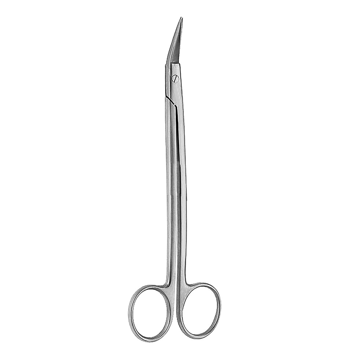 DEAN, Tonsillen Schere, 17 cm gezahnt – Dewimed Medizintechnik GmbH, Chirurgische Instrumente
