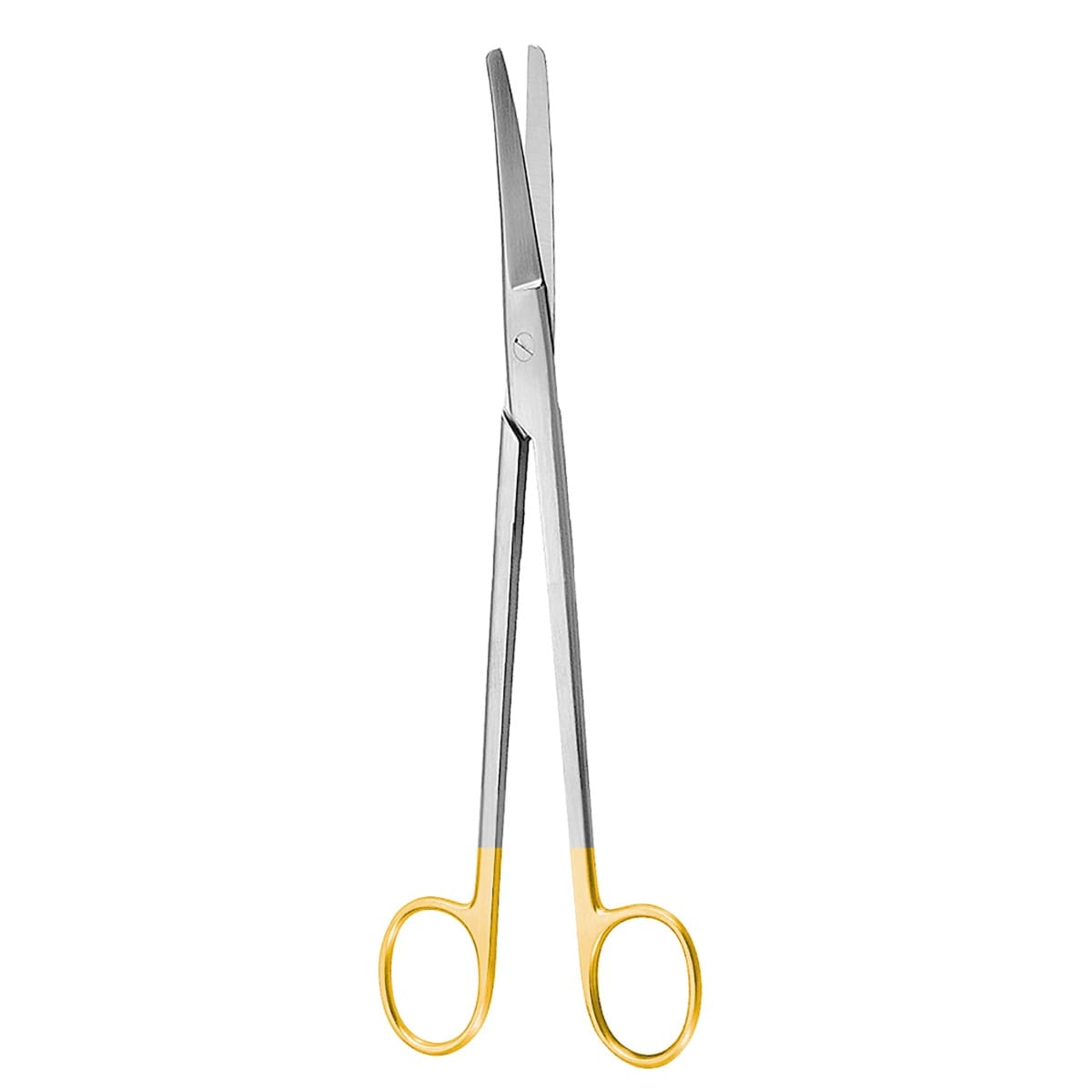 WERTHEIM, Praeparier Schere, 23 cm TC – Dewimed Medizintechnik GmbH, Chirurgische Instrumente