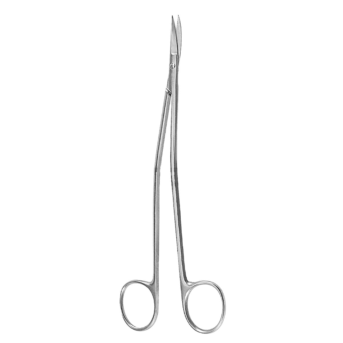 DANDY, Neurochirurgische Schere, 17 cm – Dewimed Medizintechnik GmbH, Chirurgische Instrumente