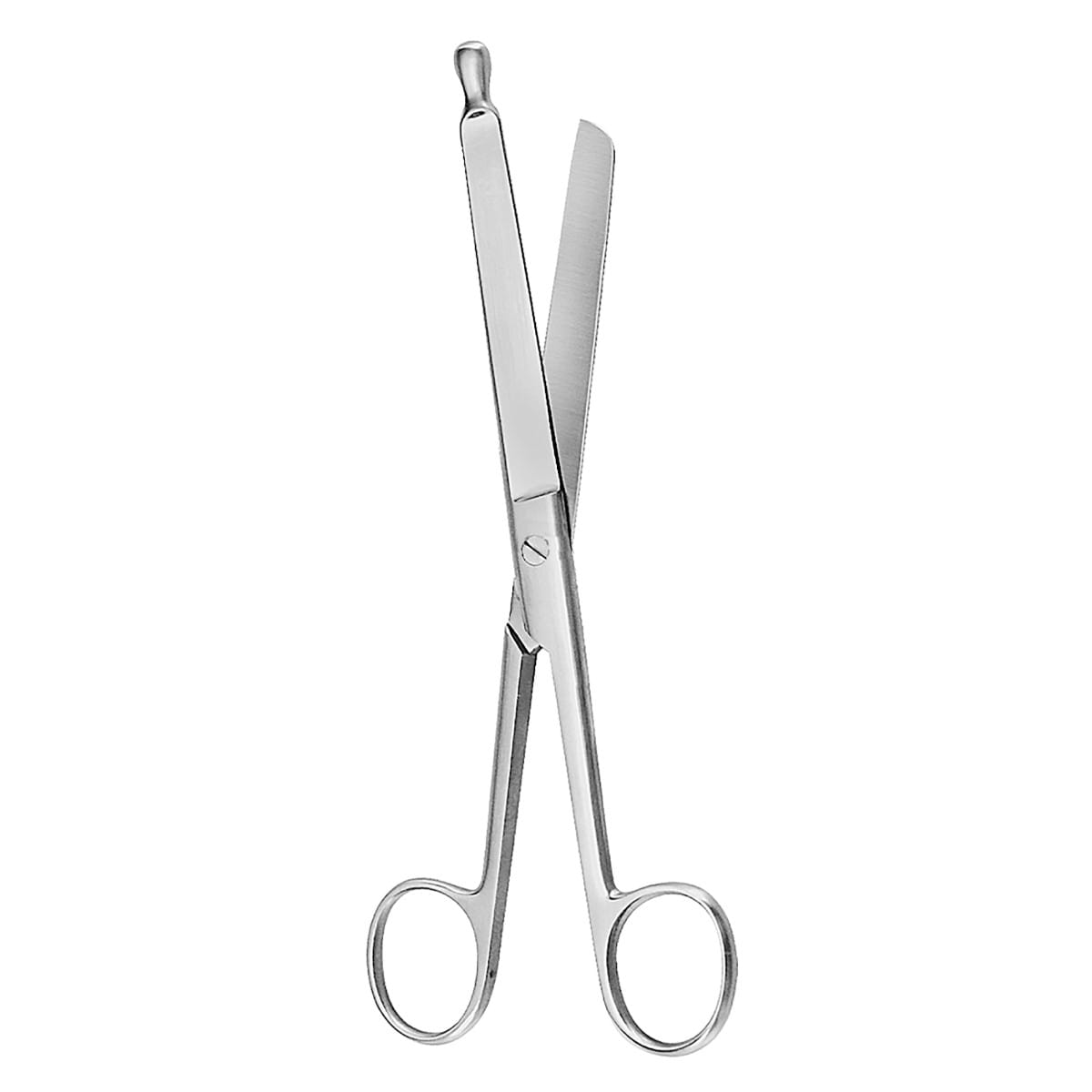 Darm Schere, 21 cm mit Knopfspitze – Dewimed Medizintechnik GmbH, Chirurgische Instrumente
