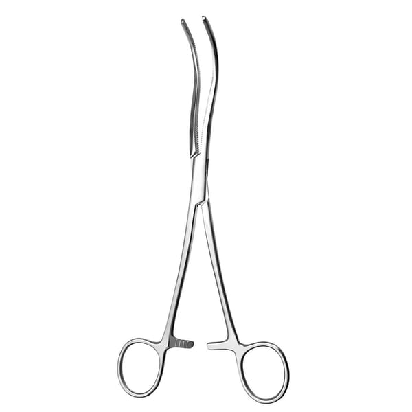 GUYON, Nierenstiel Klemme, 24 cm 12.519.24