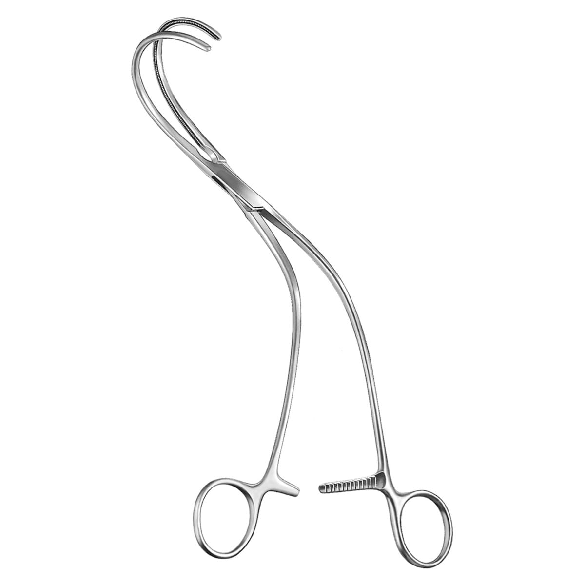 WEBER, Klemme, 26 cm 13.217.26 – Dewimed Medizintechnik GmbH, Sonstige chirurgische Instrumente