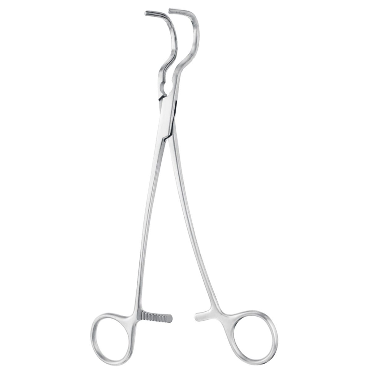 WYLIE, Klemme, 21 cm 13.259.01 – Dewimed Medizintechnik GmbH, Sonstige chirurgische Instrumente