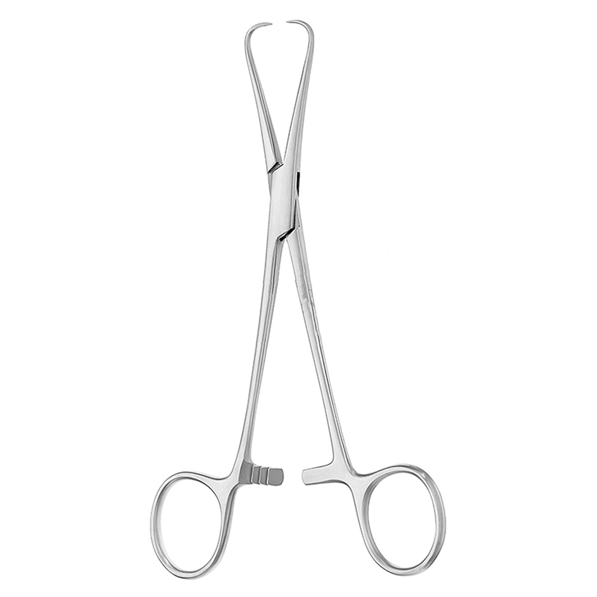 BERNHARD, Tuchklemme, 16,5 cm 14.140.16 – Dewimed Medizintechnik GmbH, Sonstige chirurgische Instrumente