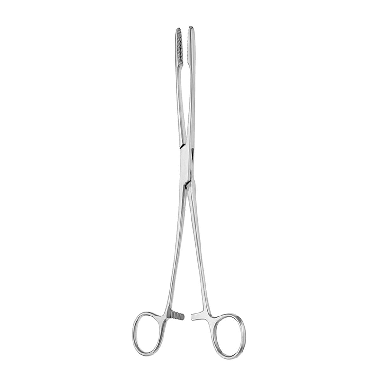GROSS MAIER, Kornzange, 22 cm mit Sperre 16.110.22 – Dewimed Medizintechnik GmbH, Sonstige chirurgische Instrumente