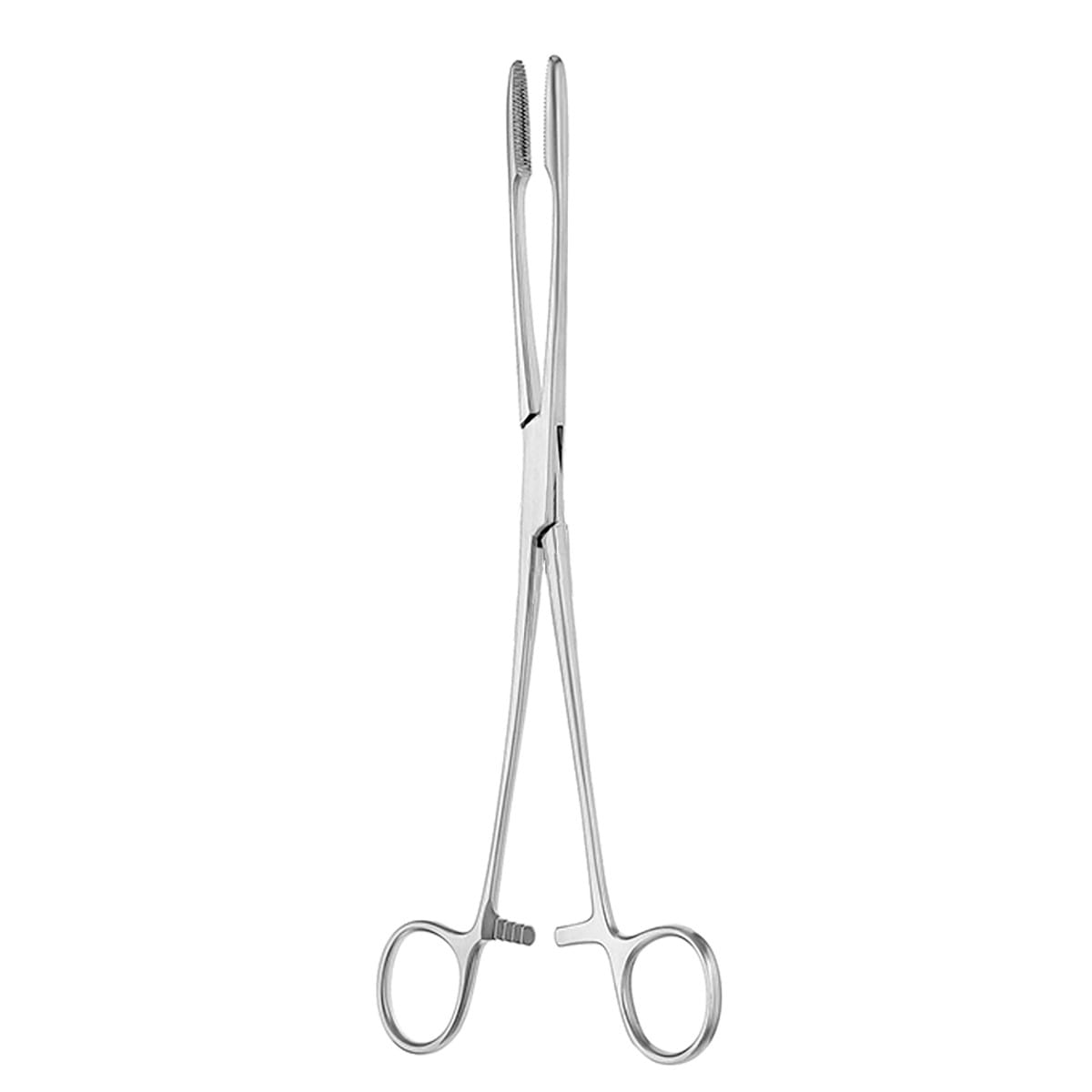 GROSS MAIER, Kornzange, 25 cm 16.110.25 – Dewimed Medizintechnik GmbH, Sonstige chirurgische Instrumente