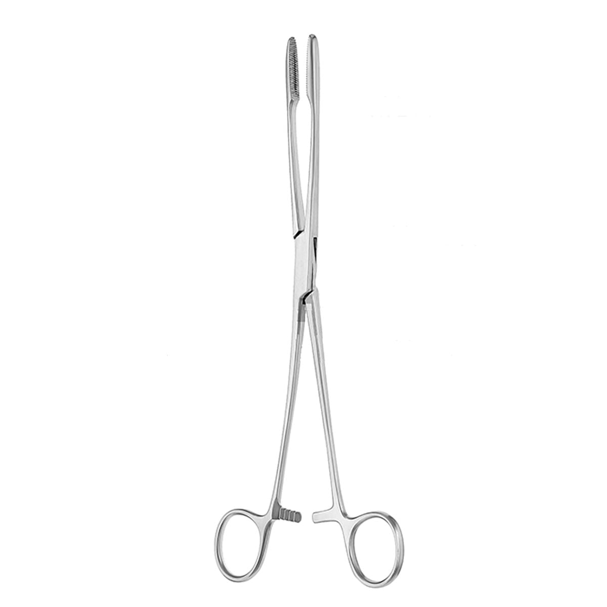 GROSS MAIER, Kornzange, 25 cm 16.111.25 – Dewimed Medizintechnik GmbH, Sonstige chirurgische Instrumente