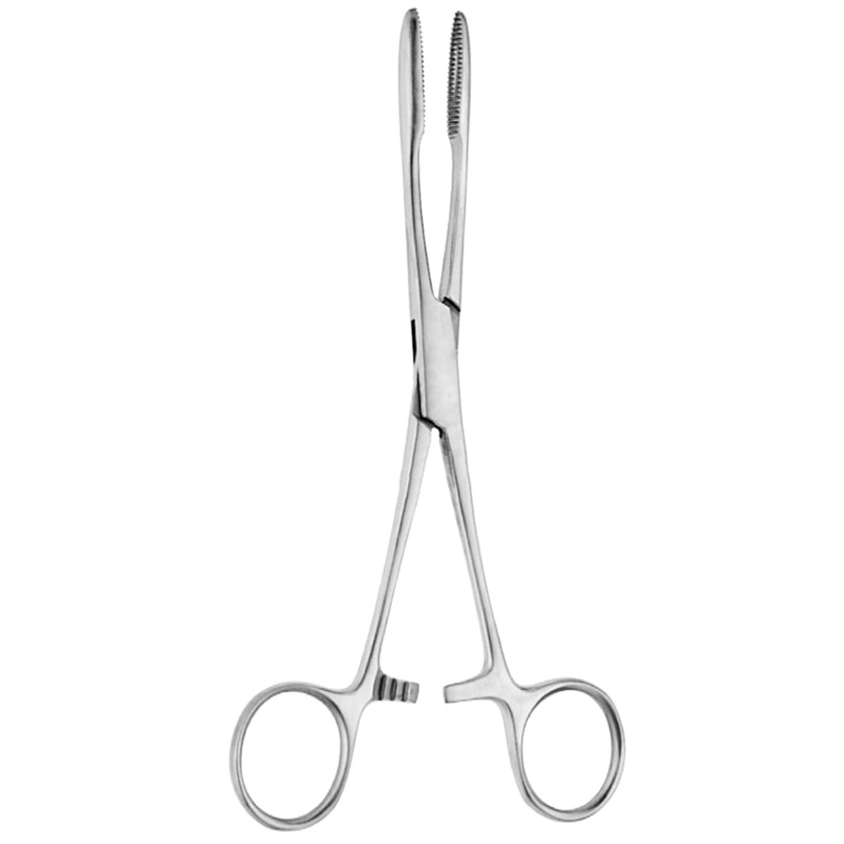 GROSS, Kornzange, 18 cm mit Sperre 16.114.18 – Dewimed Medizintechnik GmbH, Sonstige chirurgische Instrumente