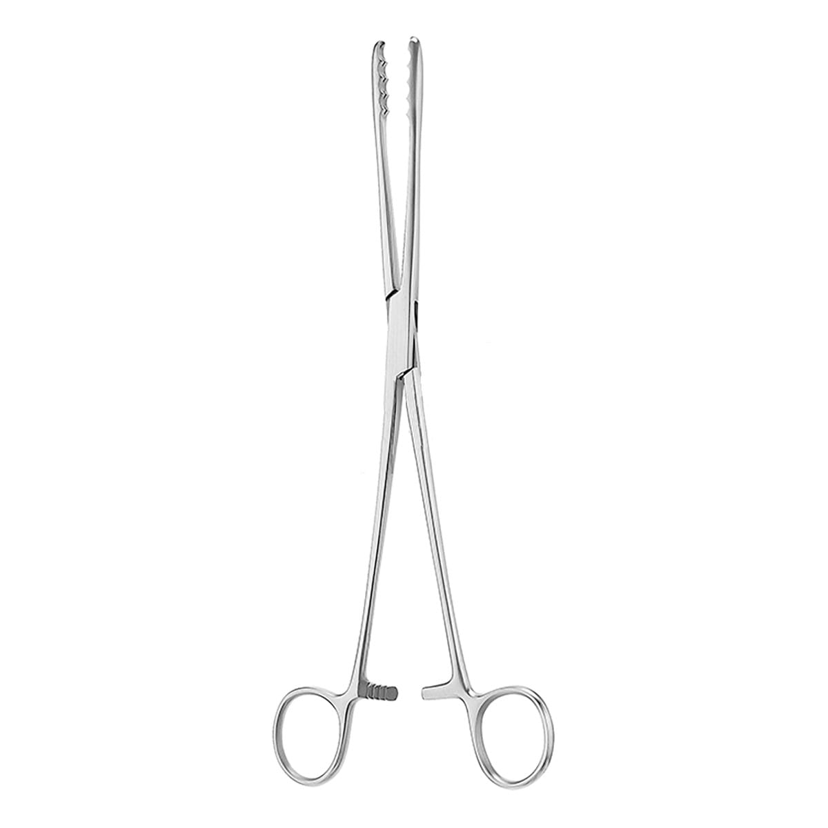 ULRICH, Tupferzange, 25 cm 16.160.25 – Dewimed Medizintechnik GmbH, Sonstige chirurgische Instrumente
