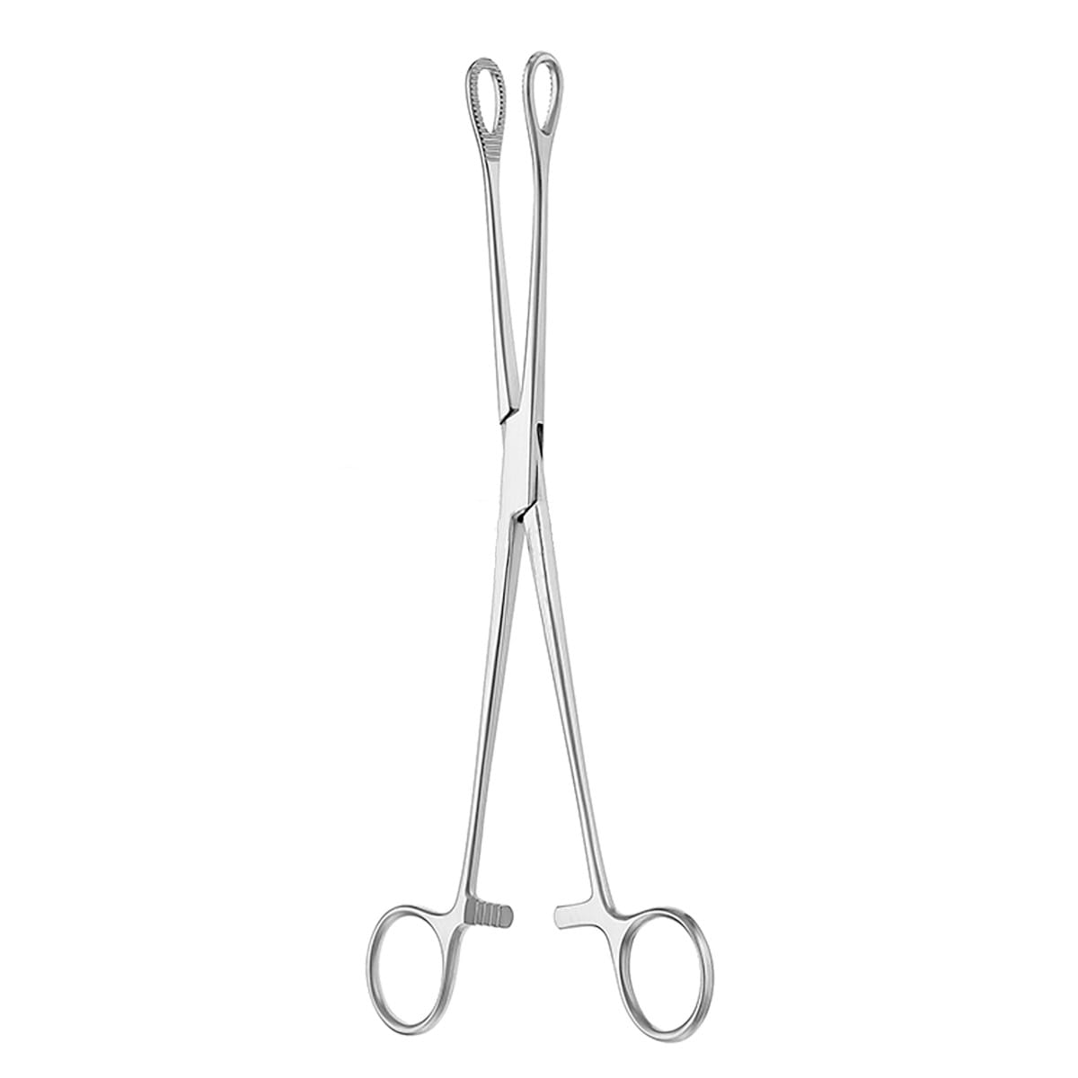 FOERSTER, Schwammzange, 18 cm gerieft 16.170.18 – Dewimed Medizintechnik GmbH, Sonstige chirurgische Instrumente