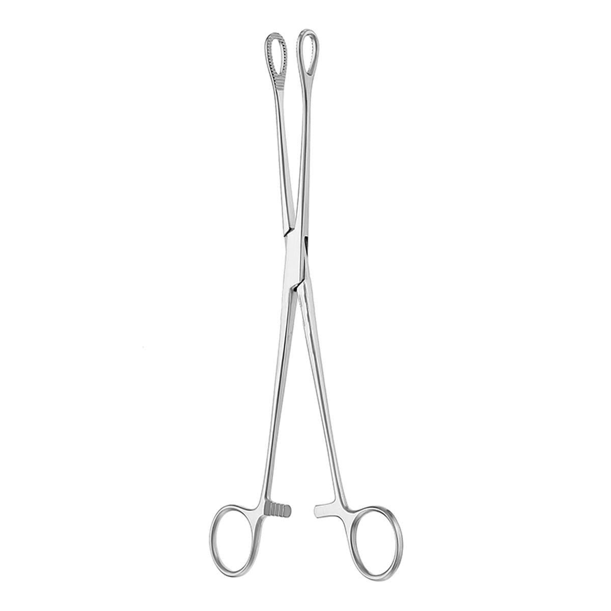 FOERSTER, Schwammzange, 20 cm gerieft 16.170.20 – Dewimed Medizintechnik GmbH, Sonstige chirurgische Instrumente