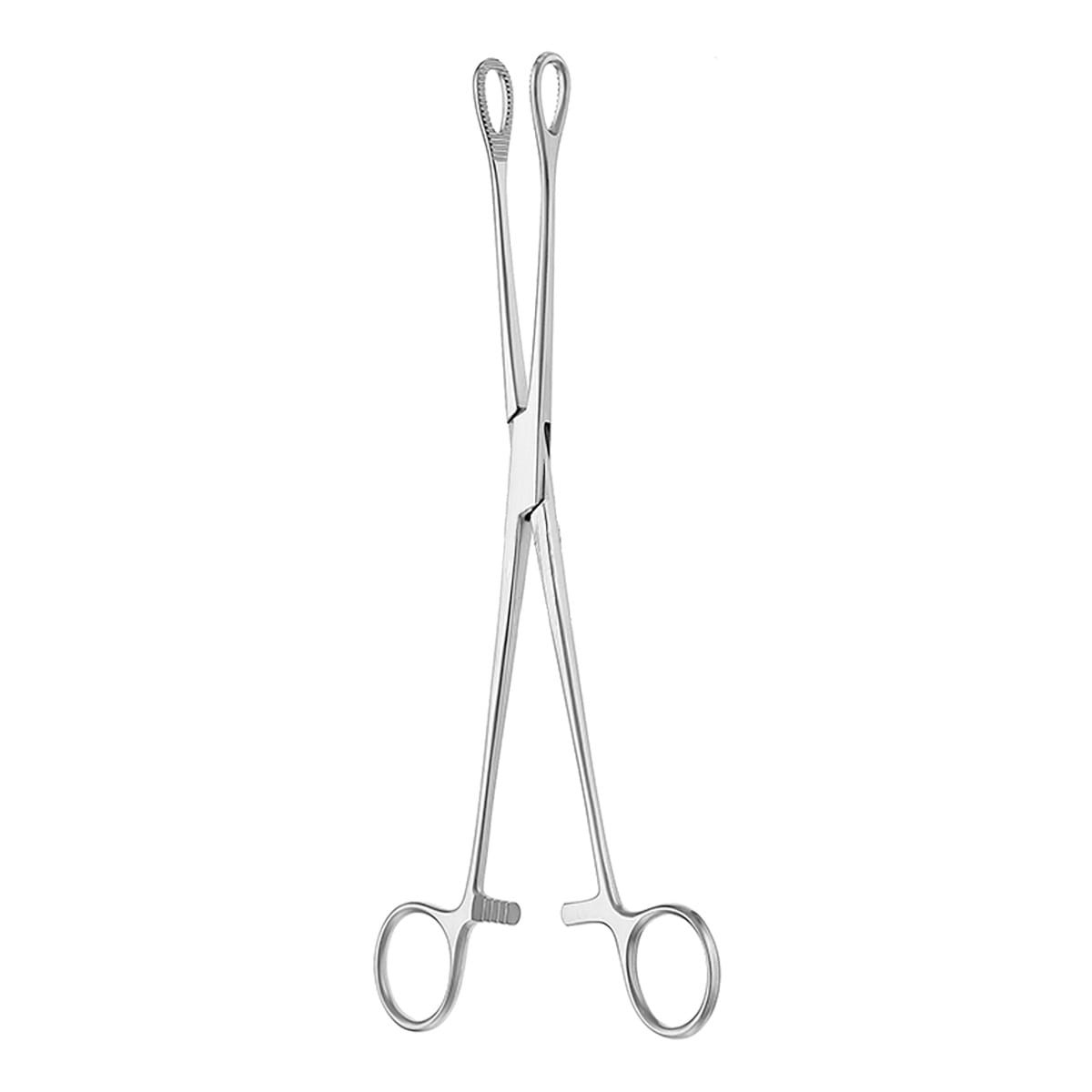 FOERSTER, Schwammzange, 20 cm gerieft 16.171.20 – Dewimed Medizintechnik GmbH, Sonstige chirurgische Instrumente