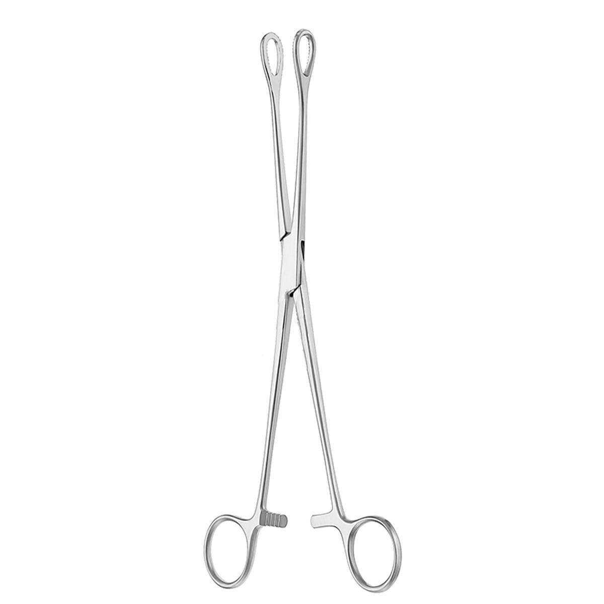 FOERSTER, Schwammzange, 25 cm glatt 16.172.25 – Dewimed Medizintechnik GmbH, Sonstige chirurgische Instrumente