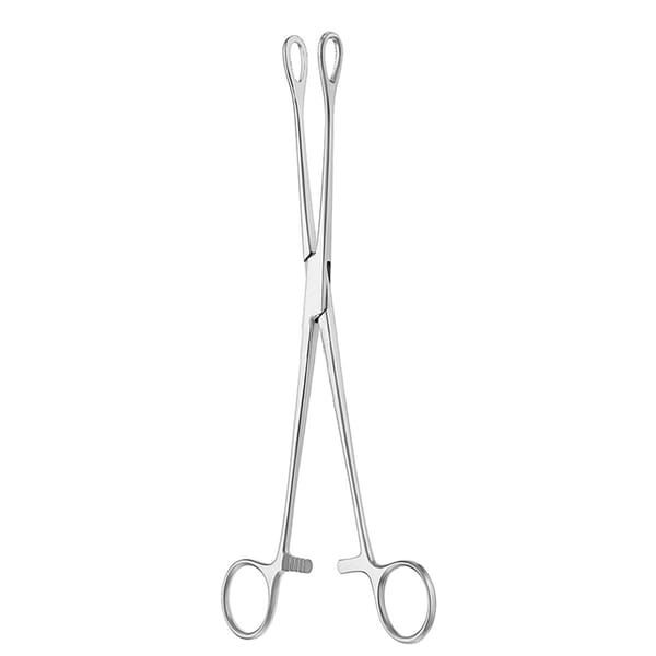 FOERSTER, Schwammzange, 25 cm glatt 16.172.25