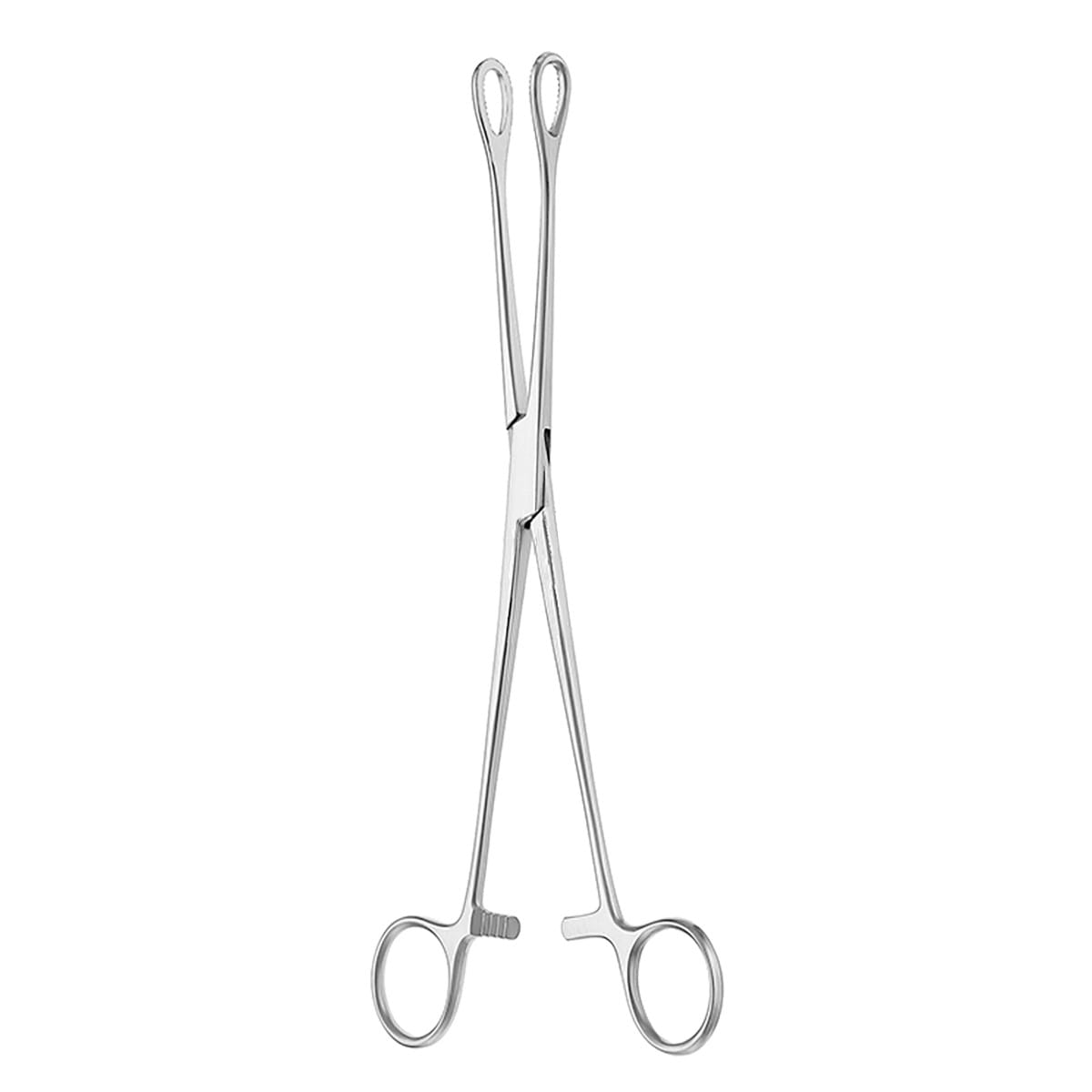 FOERSTER, Schwammzange, 25 cm glatt 16.173.25 – Dewimed Medizintechnik GmbH, Sonstige chirurgische Instrumente