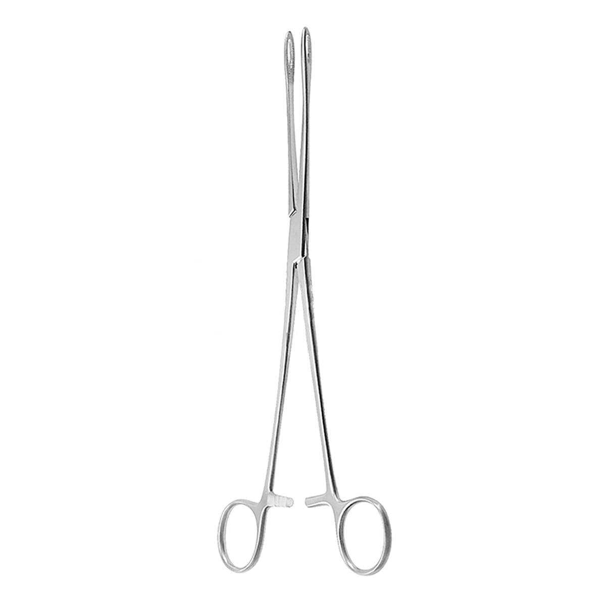 FOERSTER, Schwammzange, 25 cm schmale Fenster 16.174.25 – Dewimed Medizintechnik GmbH, Sonstige chirurgische Instrumente