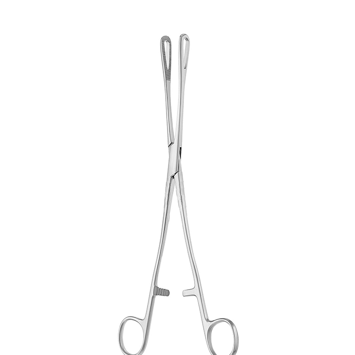 RAMPLEY, Schwammzange, 25 cm 16.180.25 – Dewimed Medizintechnik GmbH, Sonstige chirurgische Instrumente