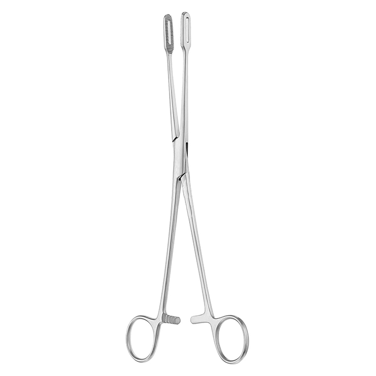 FLETCHER JAVERTS, Schwammzange, 25 cm 16.182.25 – Dewimed Medizintechnik GmbH, Sonstige chirurgische Instrumente