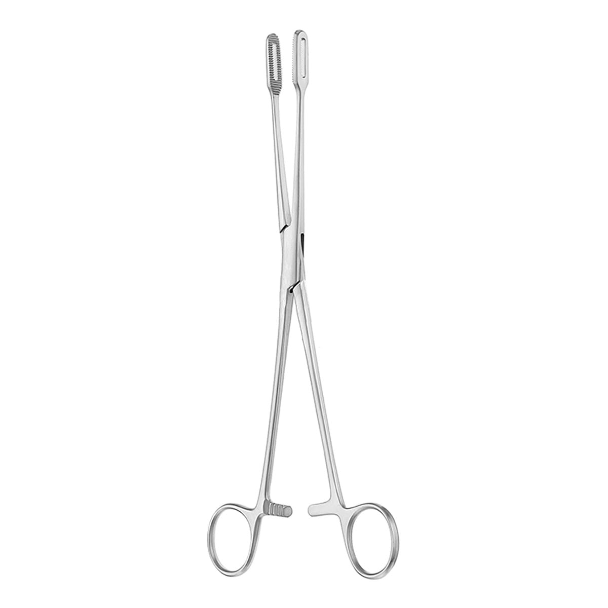 FLETCHER JAVERTS, Schwammzange, 25 cm 16.183.25 – Dewimed Medizintechnik GmbH, Sonstige chirurgische Instrumente