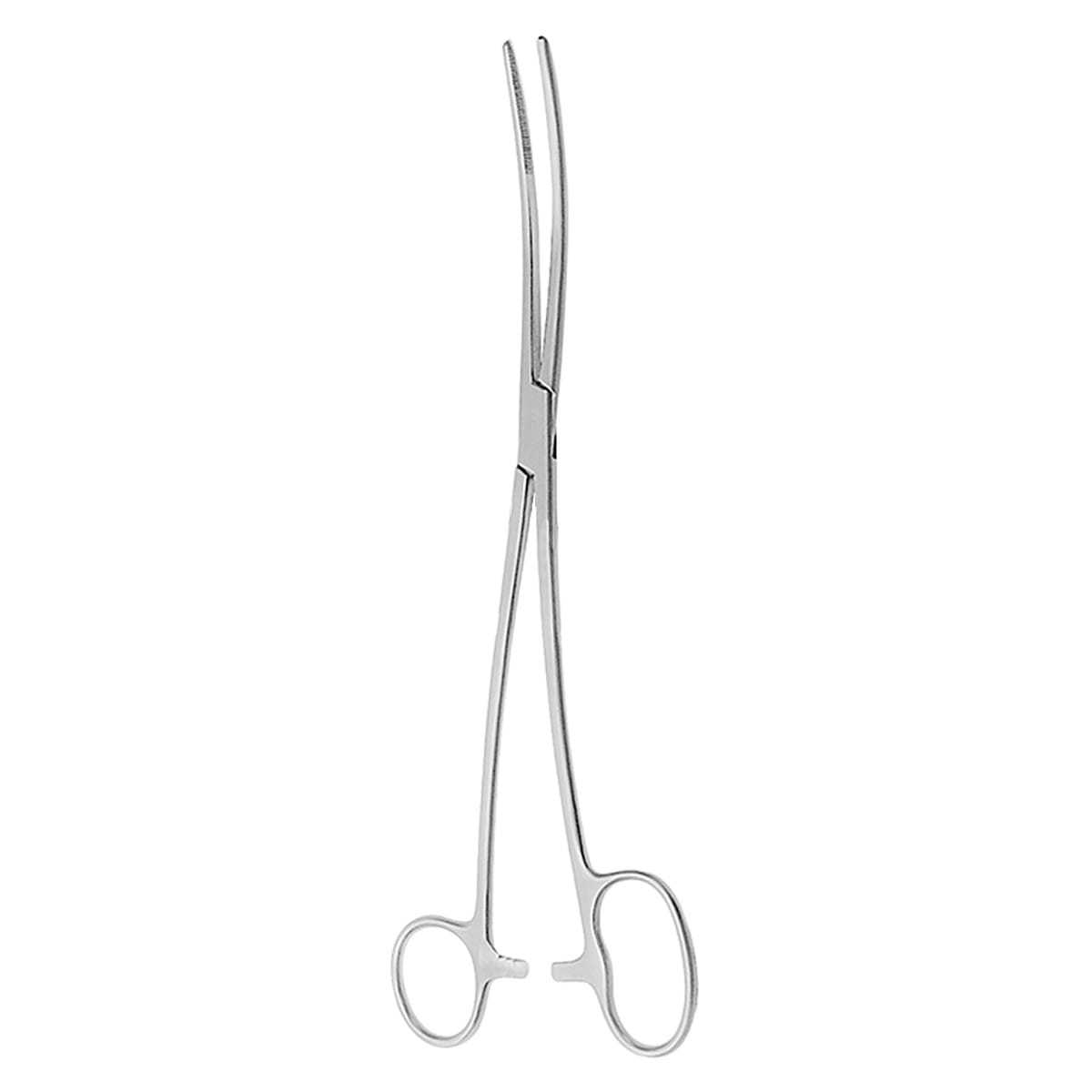 BOZEMANN DOUGLAS, Schwammzange, 26 cm 16.233.26 – Dewimed Medizintechnik GmbH, Sonstige chirurgische Instrumente