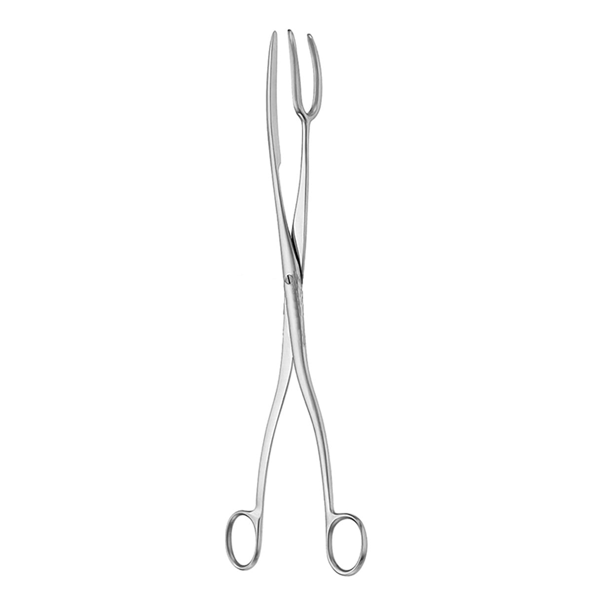 Sterilisierzange, 20 cm 28.140.20 – Dewimed Medizintechnik GmbH, Sterilisationszubehör