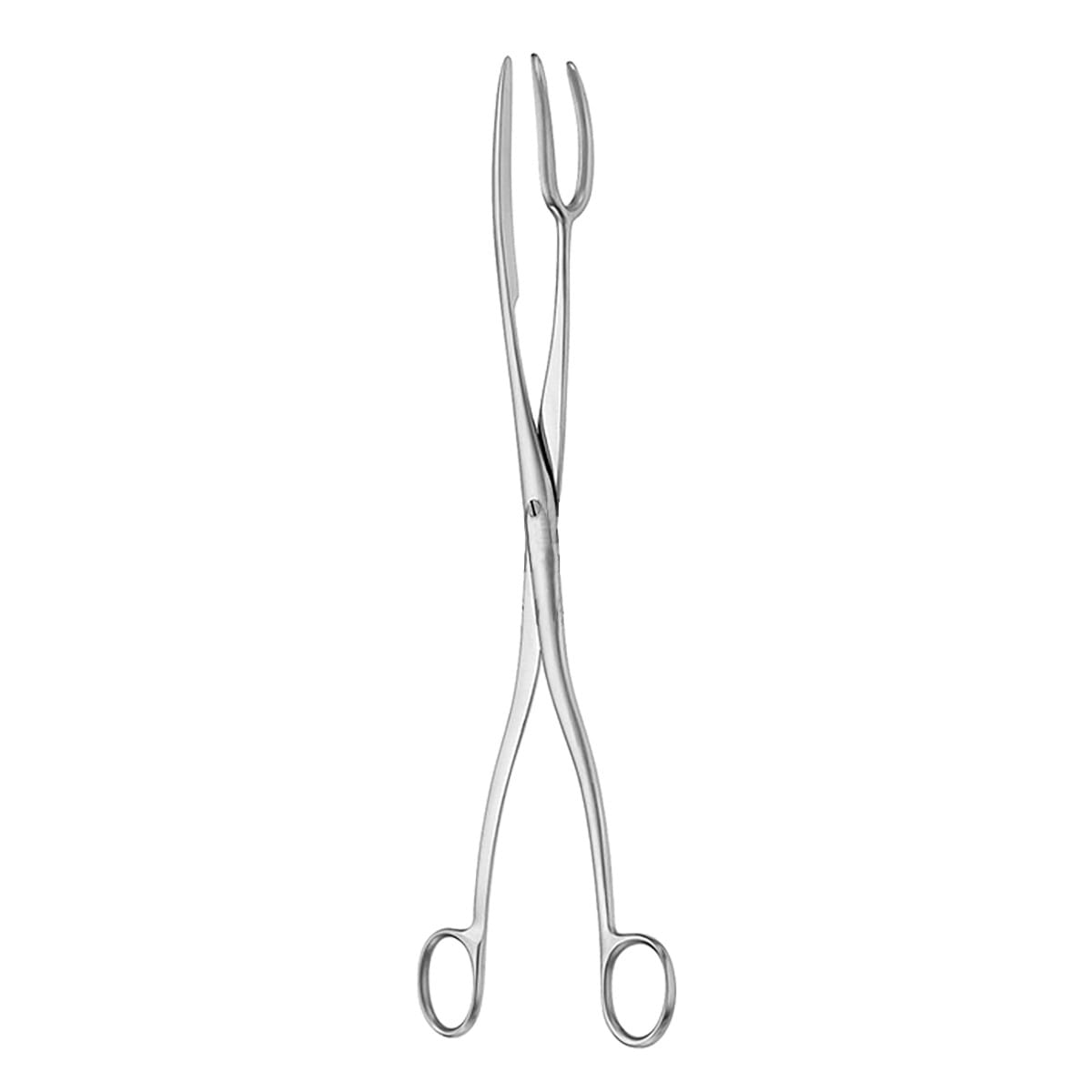 Sterilisierzange, 30 cm 28.140.30 – Dewimed Medizintechnik GmbH, Sterilisationszubehör