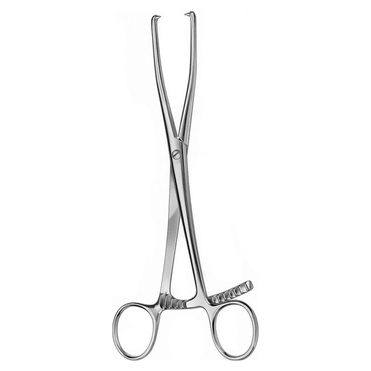 Knöchel Fasszange, 21 cm 32.436.21 – Dewimed Medizintechnik GmbH, Sonstige chirurgische Instrumente