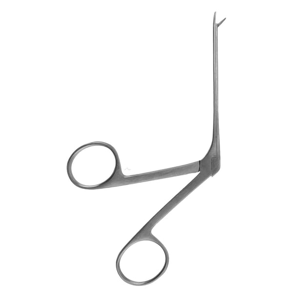Mikrozaengchen, Ohr, 8 cm 6 mm gerieft 44.355.60