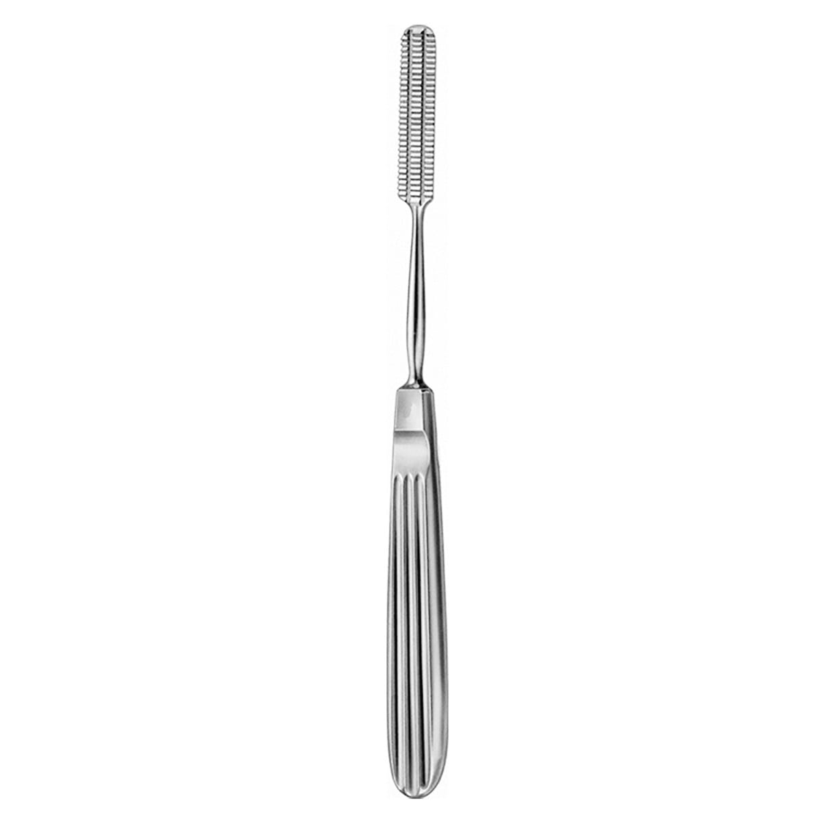AUFRICHT, Nasen Raspel, 18 cm 2 x 2 Zähne 46.504.18 – Dewimed Medizintechnik GmbH, Sonstige chirurgische Instrumente
