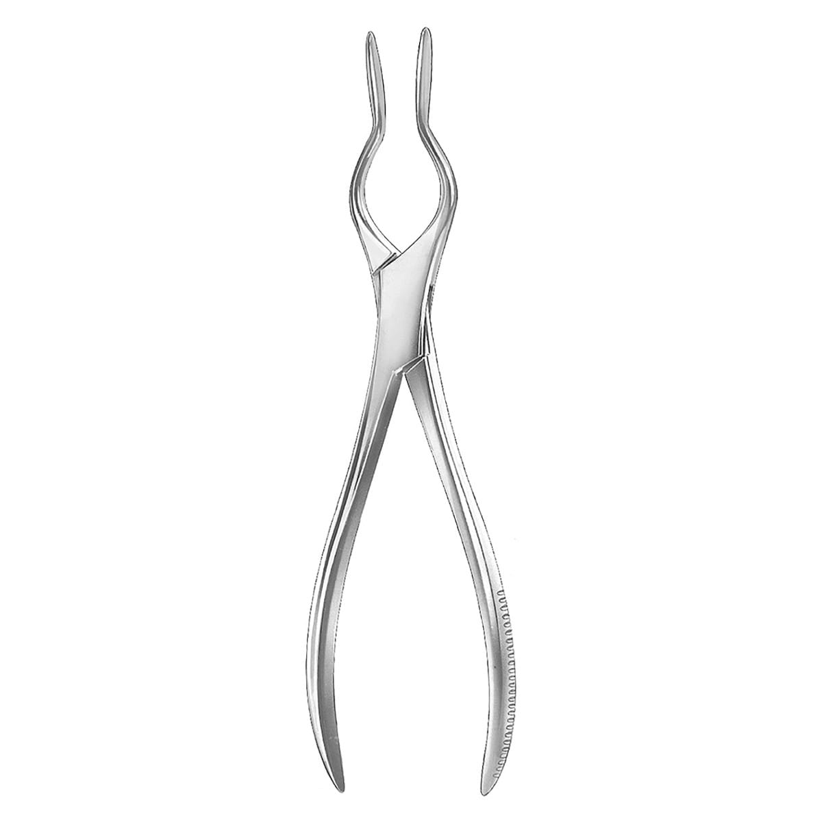 WALSHAM, Septum Richtzange, 1 x 2 Zähne 46.572.23 – Dewimed Medizintechnik GmbH, Sonstige chirurgische Instrumente
