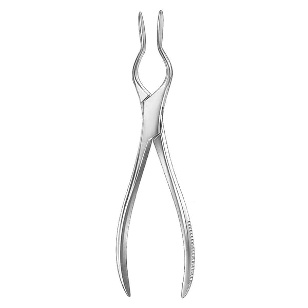 WALSHAM, Septum Richtzange, rechts 1 x 2 Zähne 46.575.23