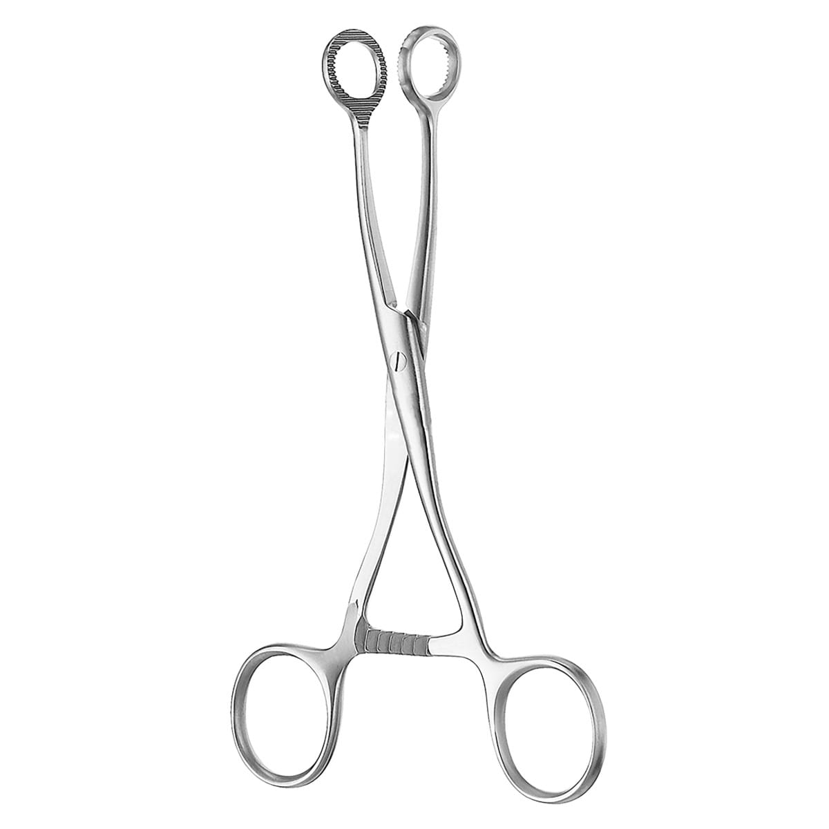 COLLIN, Zungen Zange, 16 cm 1 x 2 Zähne 48.250.16 – Dewimed Medizintechnik GmbH, Pinzetten