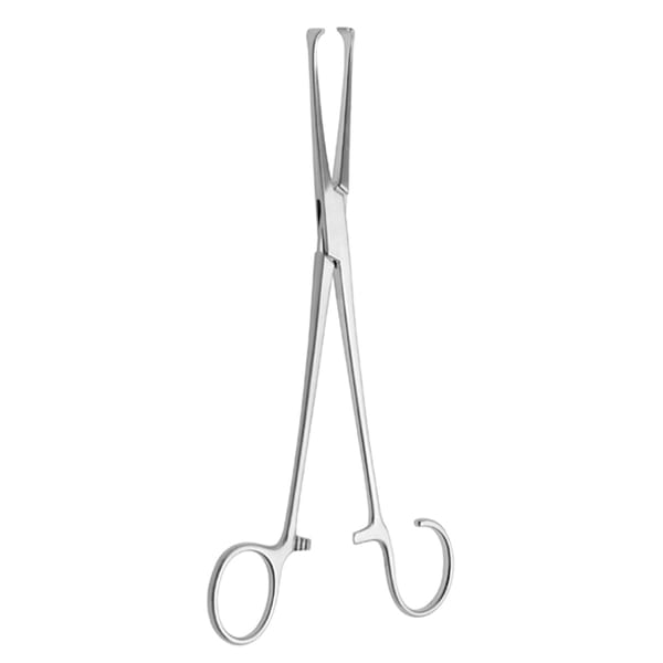 COLVER, Tonsillen Fass Zange, 19,5 cm Sperre 3 Zähne 50.202.19