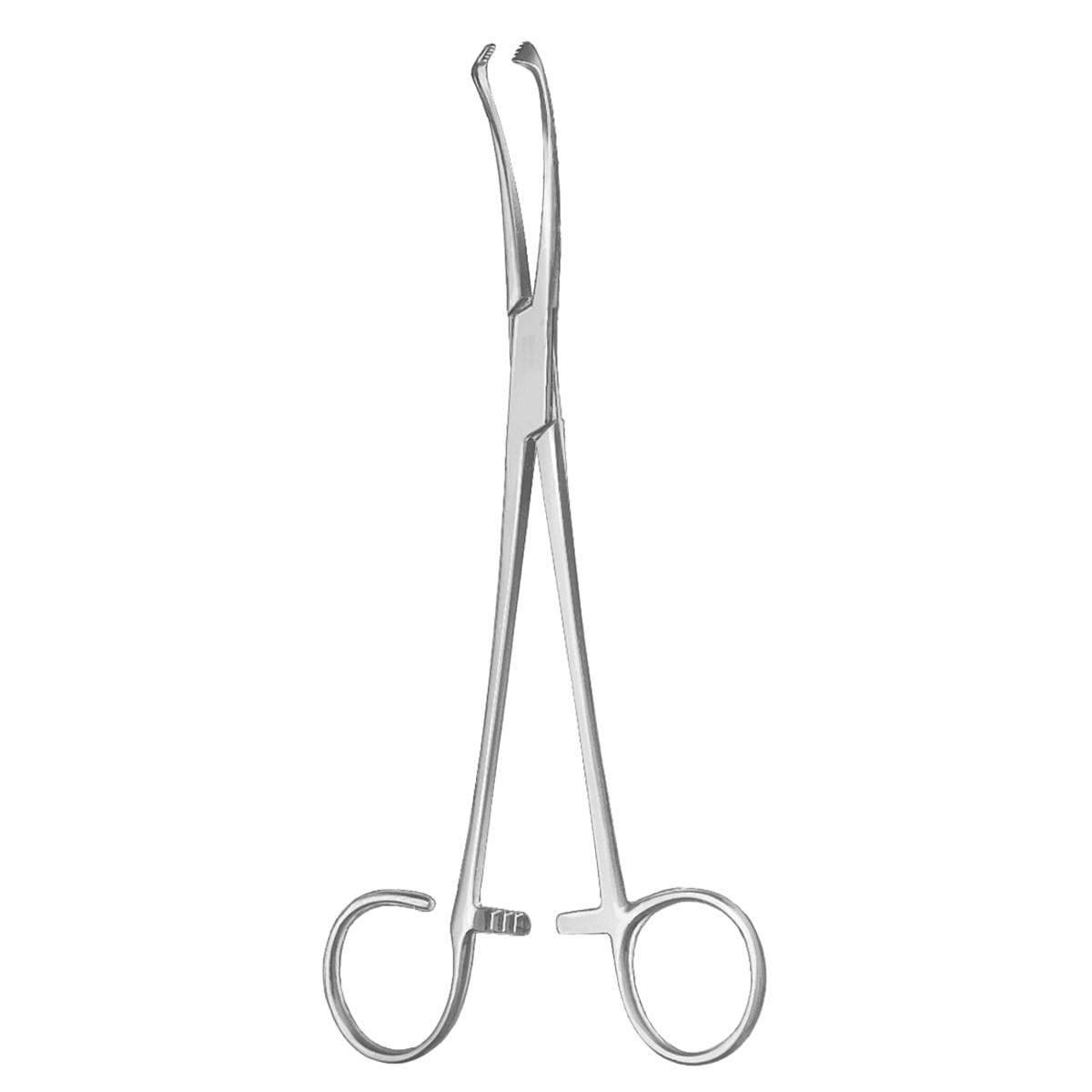 WHITE, Tonsillen Fass Zange, 23 cm Sperre 2 Zähne 2 x 2 Zähne 50.205.23 – Dewimed Medizintechnik GmbH, Sonstige chirurgische Instrumente
