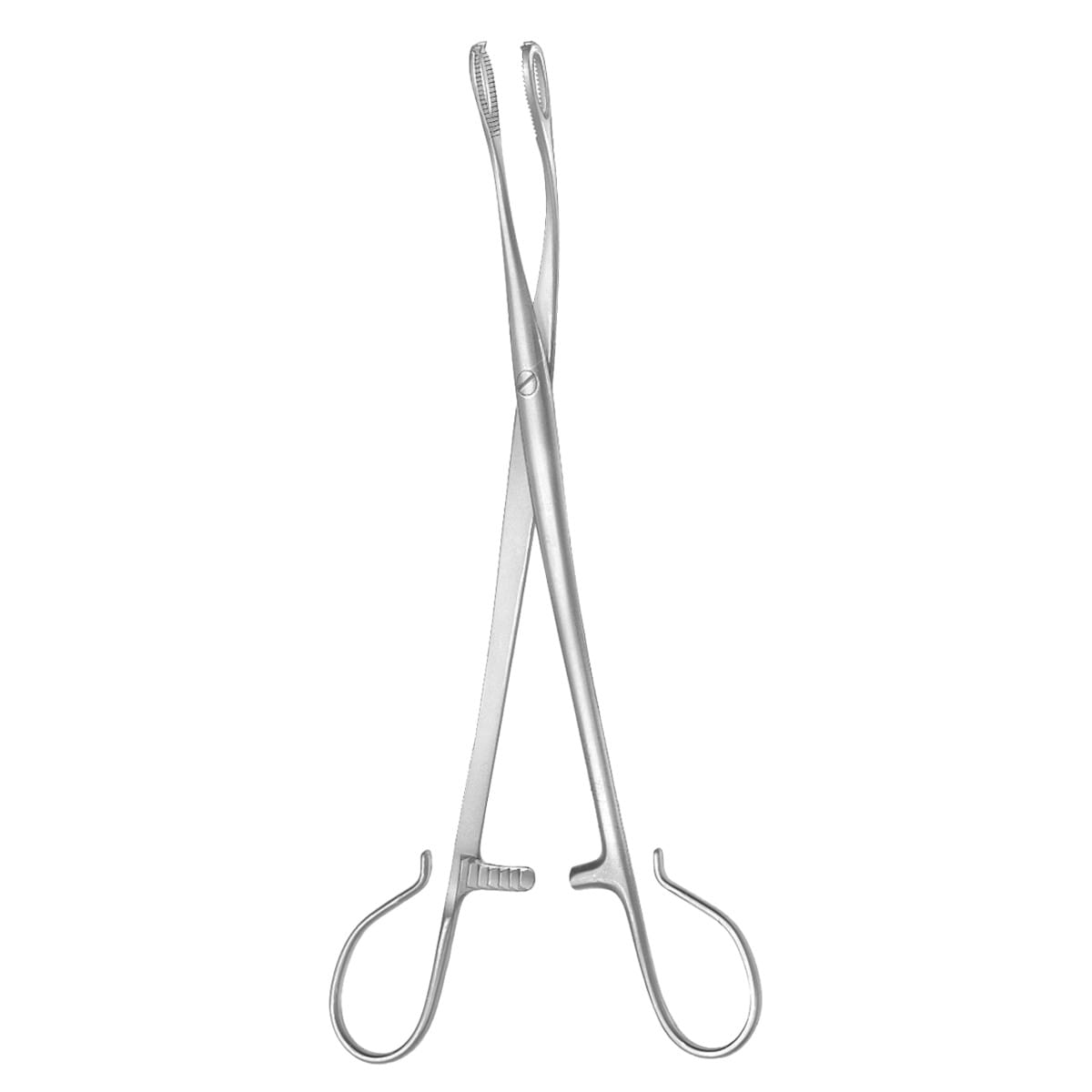 BLOHMKE, Tonsillen Fass Zange, 20 cm 2 x 2 Zähne 50.209.20 – Dewimed Medizintechnik GmbH, Sonstige chirurgische Instrumente