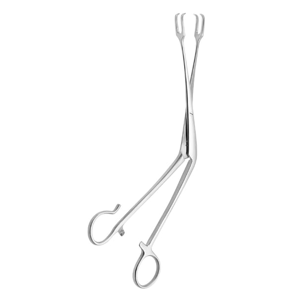TIVNEN, Tonsillen Fass Zange, 21 cm 50.213.21