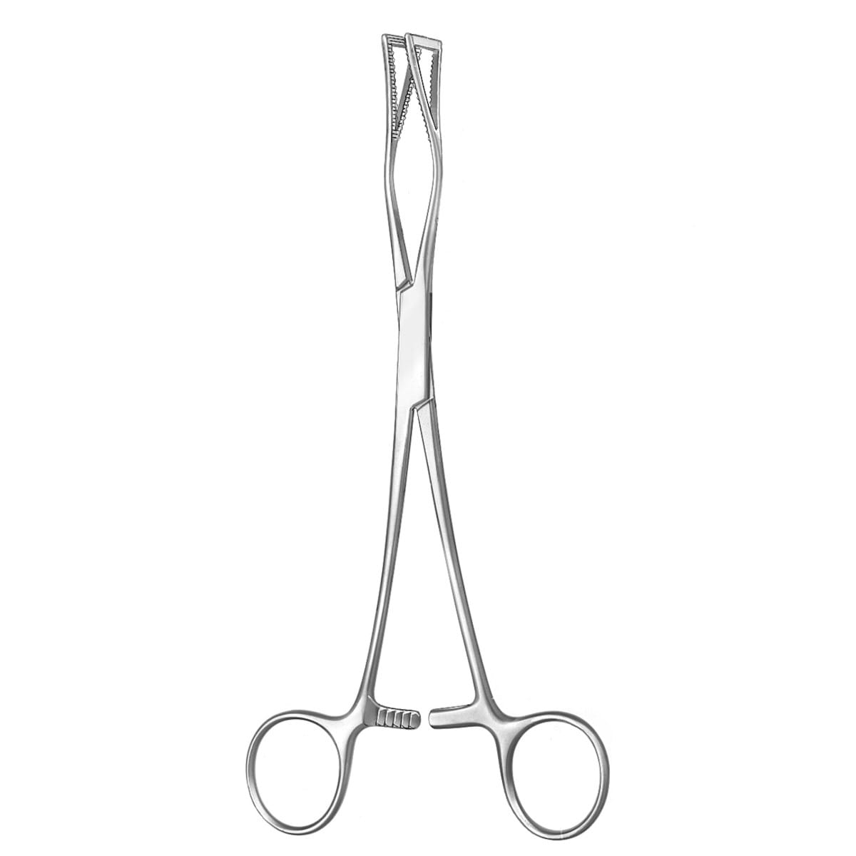 LOVELACE, Lungen Fasszange, 20 cm 56.290.20 – Dewimed Medizintechnik GmbH, Sonstige chirurgische Instrumente
