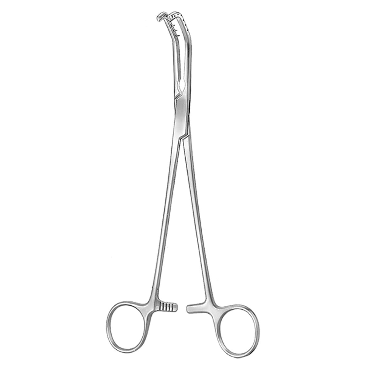 PRICE THOMAS, Bronch.Kl.Zahn.re, 1 x 2 Zähne 56.313.22 – Dewimed Medizintechnik GmbH, Sonstige chirurgische Instrumente