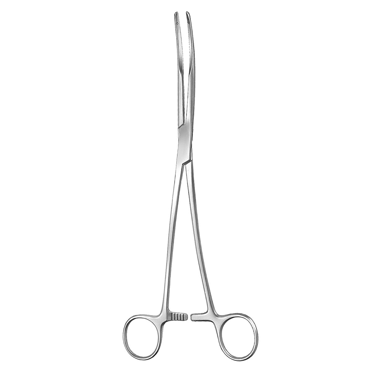 SEMB, Bronchus Klemme, 24 cm 2 x 2 Zähne 56.321.23 – Dewimed Medizintechnik GmbH, Sonstige chirurgische Instrumente
