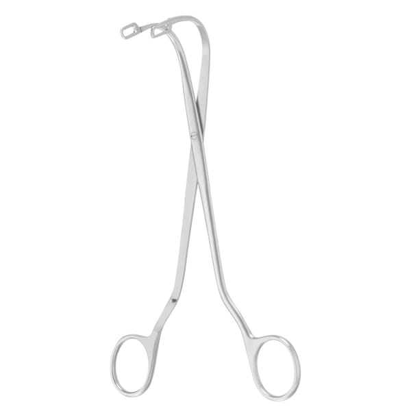 RANDALL, Nier.Stein Zange, 19 cm Fig. 3 0 x 2 Zähne 62.231.03