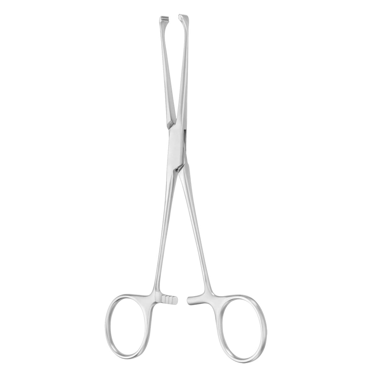 ALLIS, Darm Fass Zange, 20 cm atr 1 x 2 Zähne 64.124.20 – Dewimed Medizintechnik GmbH, Sonstige chirurgische Instrumente