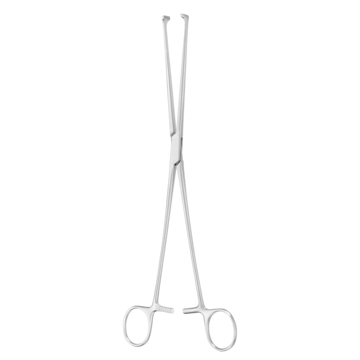 ALLIS, Darm Fass Zange, 25 cm atr 64.124.25 – Dewimed Medizintechnik GmbH, Sonstige chirurgische Instrumente