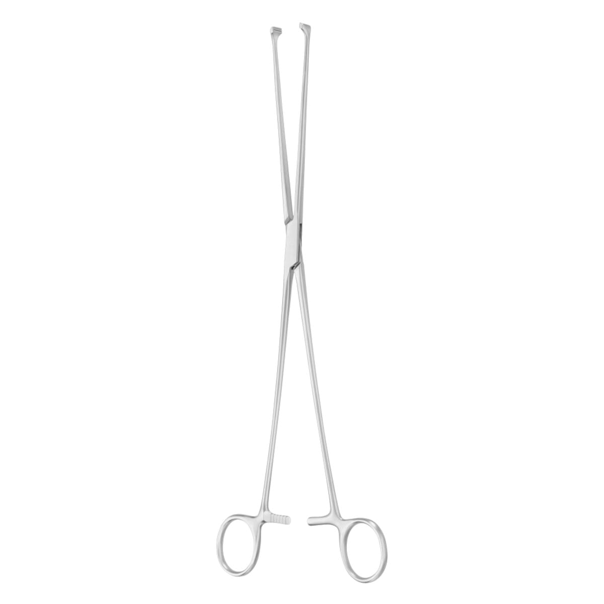 ALLIS, Darm Fass Zange, 30 cm atr 64.124.30 – Dewimed Medizintechnik GmbH, Chirurgische Pinzetten